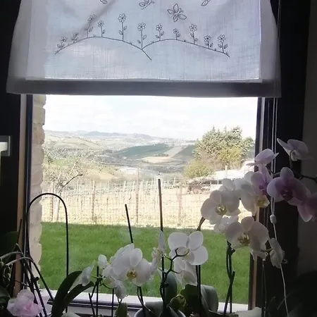 San Nicolino أوفيدا