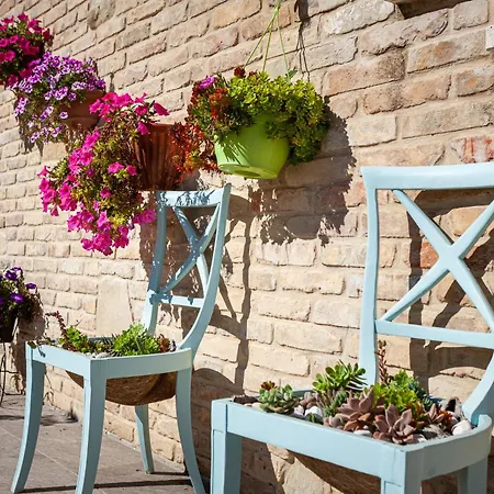 San Nicolino * Offida